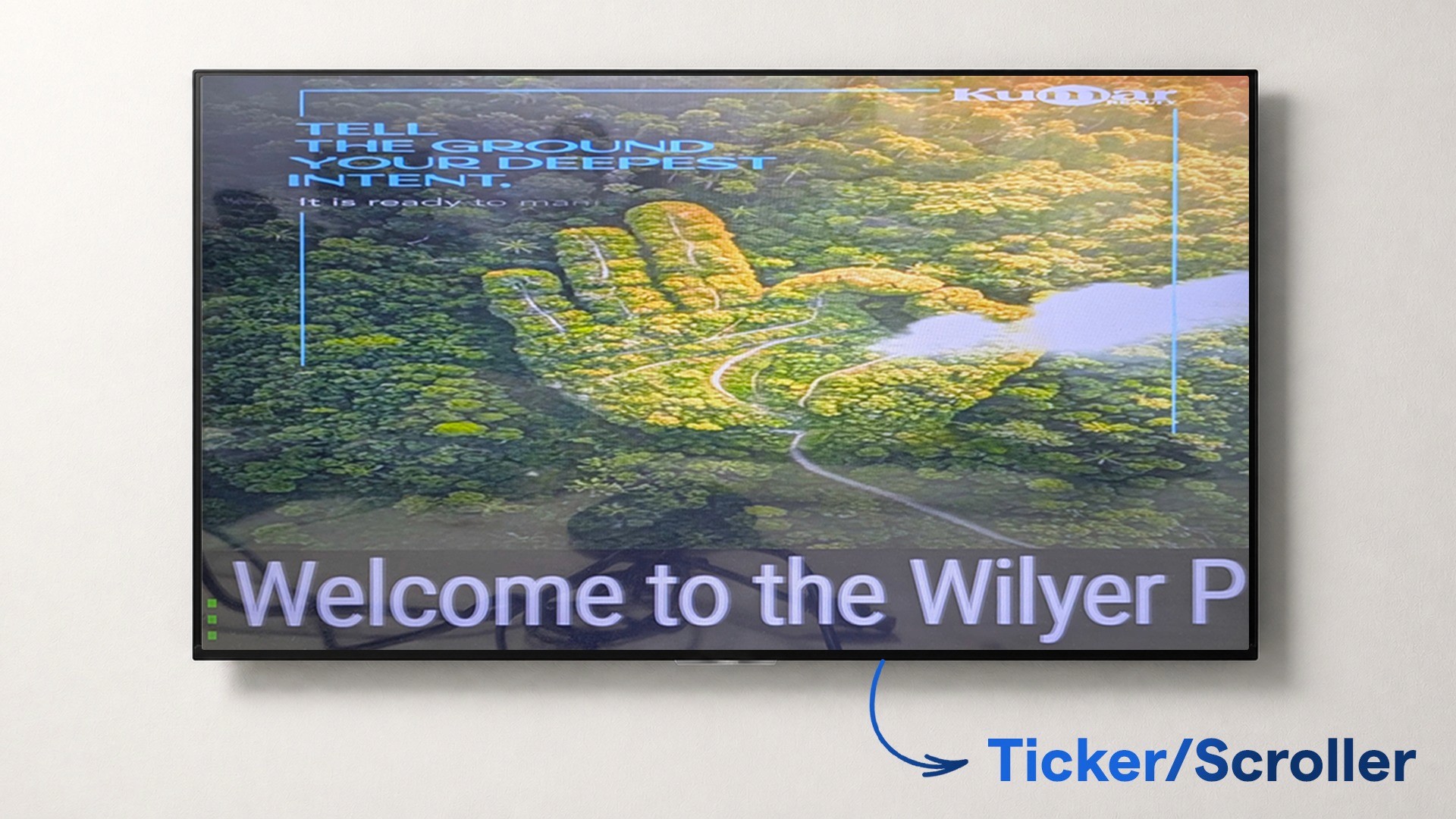 Wilyer guide image