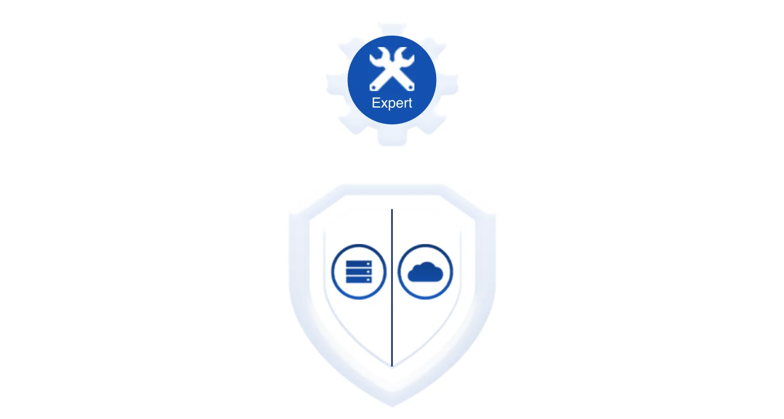 función del software de señalización digital: widgets en vivo