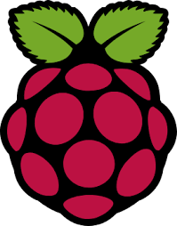Raspberry Pi logo